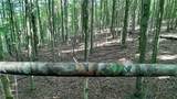 0 Lyons Hollow Road - Photo 5