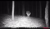 0 Lyons Hollow Road - Photo 6