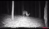 0 Lyons Hollow Road - Photo 7