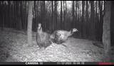0 Lyons Hollow Road - Photo 8