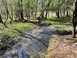 Lot#27.2 Bida Road - Photo 10