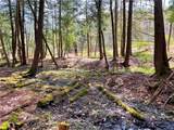 Lot#27.2 Bida Road - Photo 11