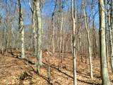 Lot#27.2 Bida Road - Photo 25