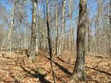 Lot#27.2 Bida Road - Photo 26