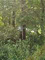332 State Highway 220 - Photo 3