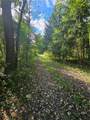 332 State Highway 220 - Photo 4