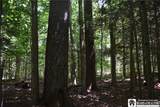 0 Bayview Road - Photo 9