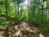 Lot 12 Sunrise Mt Road - Photo 11