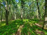 Lot 12 Sunrise Mt Road - Photo 13