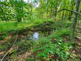 Lot 12 Sunrise Mt Road - Photo 20