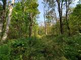 Lot 12 Sunrise Mt Road - Photo 23
