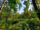 Lot 12 Sunrise Mt Road - Photo 24