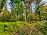 Lot 12 Sunrise Mt Road - Photo 33