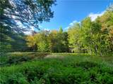 Lot 12 Sunrise Mt Road - Photo 35