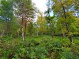 Lot 12 Sunrise Mt Road - Photo 38
