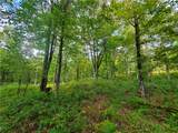 Lot 12 Sunrise Mt Road - Photo 39