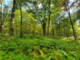 Lot 12 Sunrise Mt Road - Photo 41