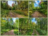 Lot 12 Sunrise Mt Road - Photo 5