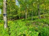 Lot 12 Sunrise Mt Road - Photo 6