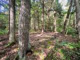 00 Gilkie Hill Road - Photo 43
