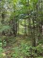 8203 Vanamburg Road - Photo 38