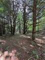 8203 Vanamburg Road - Photo 44