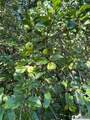 7218 Hill Road - Photo 41