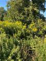 0 Ridge Road - Photo 1