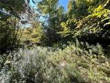 Lot 1 Lockwood Run Road - Photo 11