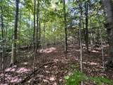 Lot 1 Lockwood Run Road - Photo 13