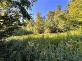 Lot 1 Lockwood Run Road - Photo 17
