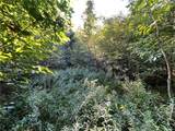 Lot 1 Lockwood Run Road - Photo 19