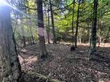 Lot 1 Lockwood Run Road - Photo 21