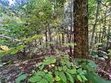 Lot 1 Lockwood Run Road - Photo 24