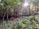 Lot 1 Lockwood Run Road - Photo 3