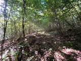 Lot 1 Lockwood Run Road - Photo 7