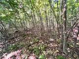 Lot 1 Lockwood Run Road - Photo 8