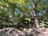 Lot 2 Lockwood Run Road - Photo 3