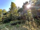 Lot 2 Lockwood Run Road - Photo 9