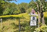 Lot 1 Warren Road - Photo 5