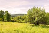 Lot 1 Warren Road - Photo 8