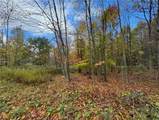0 Town Line Road - Photo 5