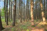 L33.05 Glimmerglen Road - Photo 12