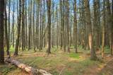 L33.05 Glimmerglen Road - Photo 13