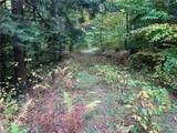 Lot 28.1 Shaver Hollow Road - Photo 13