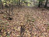 Lot 28.1 Shaver Hollow Road - Photo 16