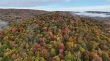 Lot 28.1 Shaver Hollow Road - Photo 2