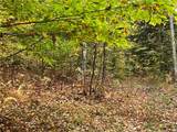 Lot 28.1 Shaver Hollow Road - Photo 5