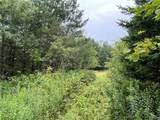 00 Level Green Road - Photo 1