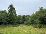 00 Level Green Road - Photo 10